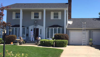 Painting services